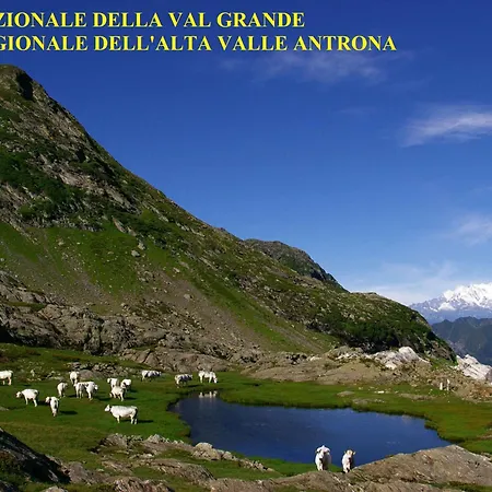 Cats & Breakfast * Vogogna