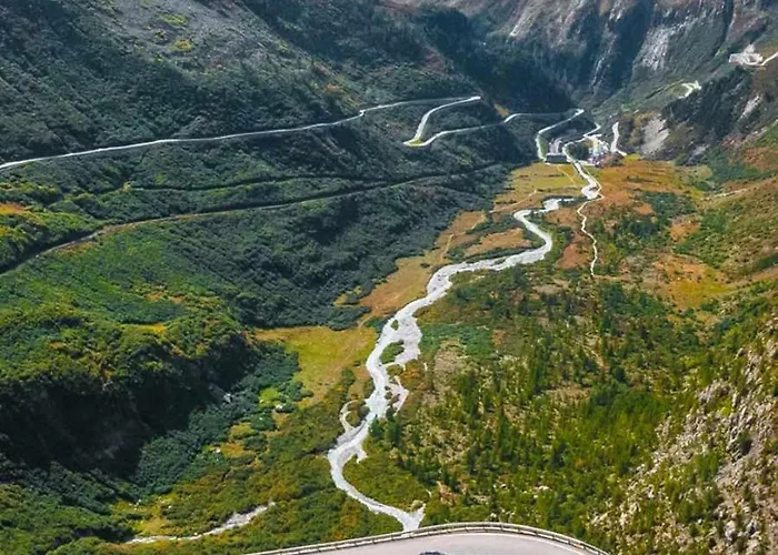 Cats & Breakfast Lägenhet