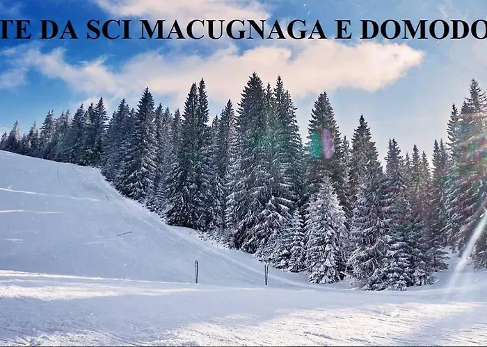 Lägenhet Cats & Breakfast *