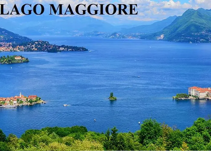 Cats & Breakfast Lägenhet