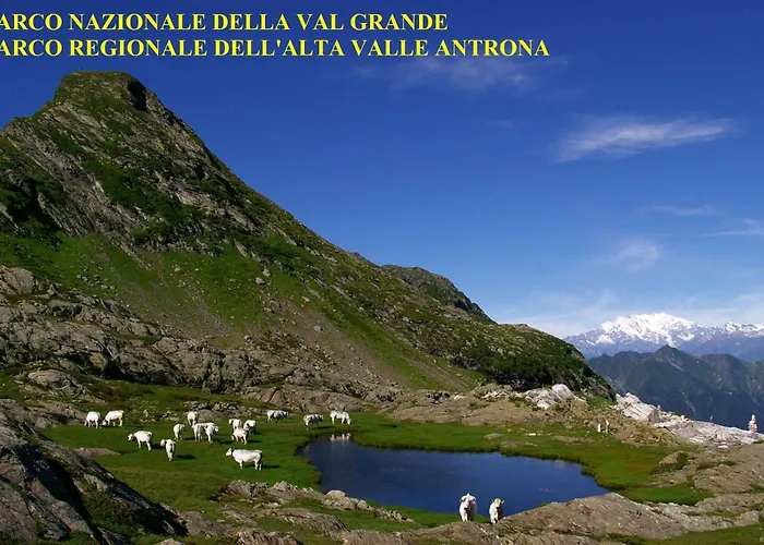 Cats & Breakfast * Vogogna